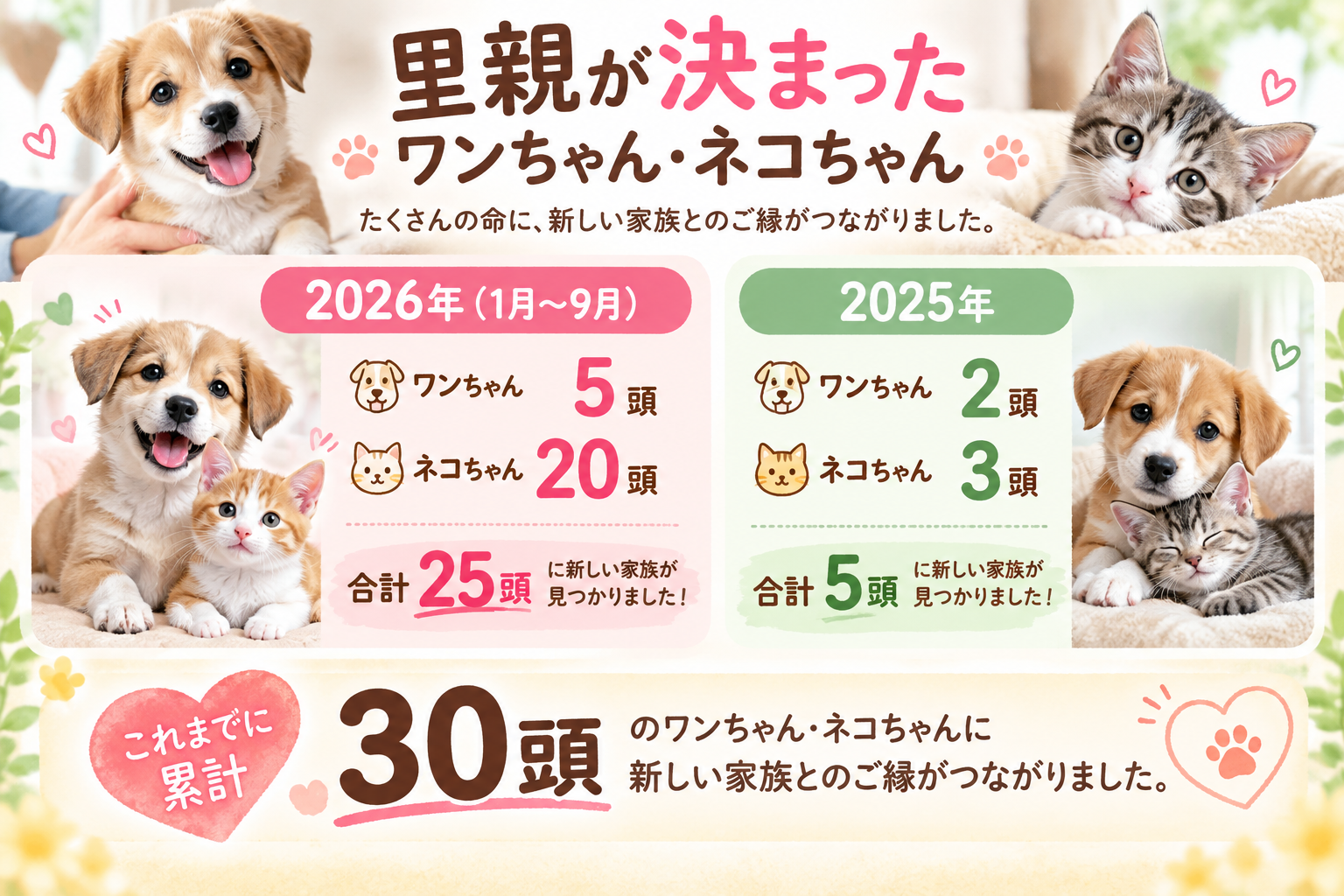 里親が決まったワンちゃん・ネコちゃん 譲渡実績
