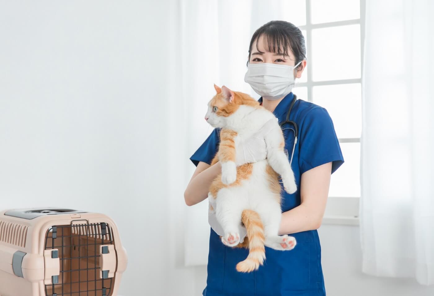 採用情報